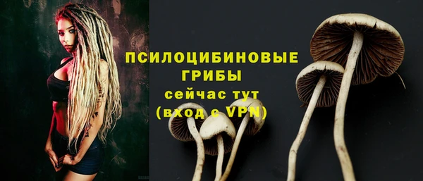 стаф Нея