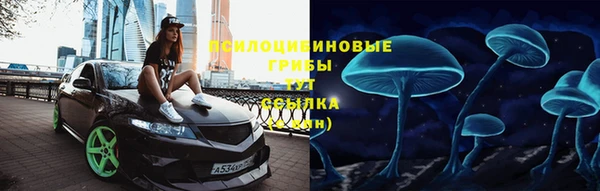 гашик Надым