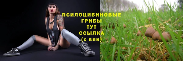 a pvp Нефтекумск