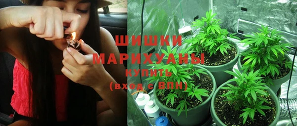 стаф Нея