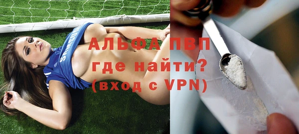 стаф Нея