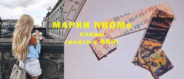 стаф Нея