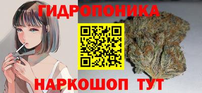 мет Дубна