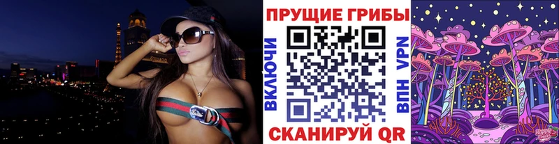 цены наркотик  Конаково  Псилоцибиновые грибы MAGIC MUSHROOMS 
