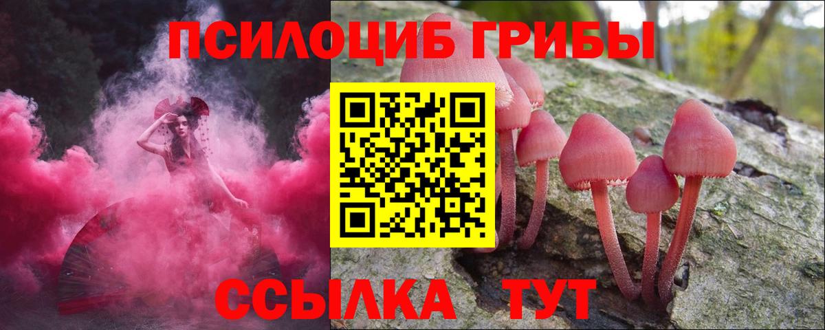 Конаково  закладка  Вход с VPN  Галлюциногенные грибы Cubensis 
