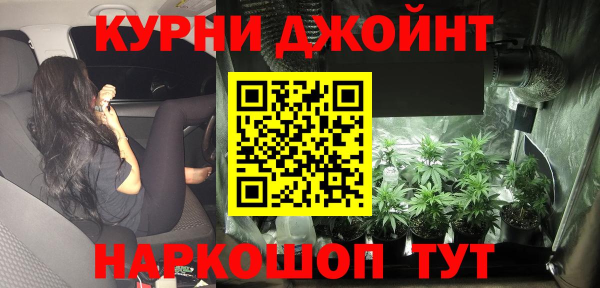 Конопля планчик  Вход с VPN  Канабис Ganja  Конаково  Бошки марихуана MAZAR  Каннабис AK-47 
